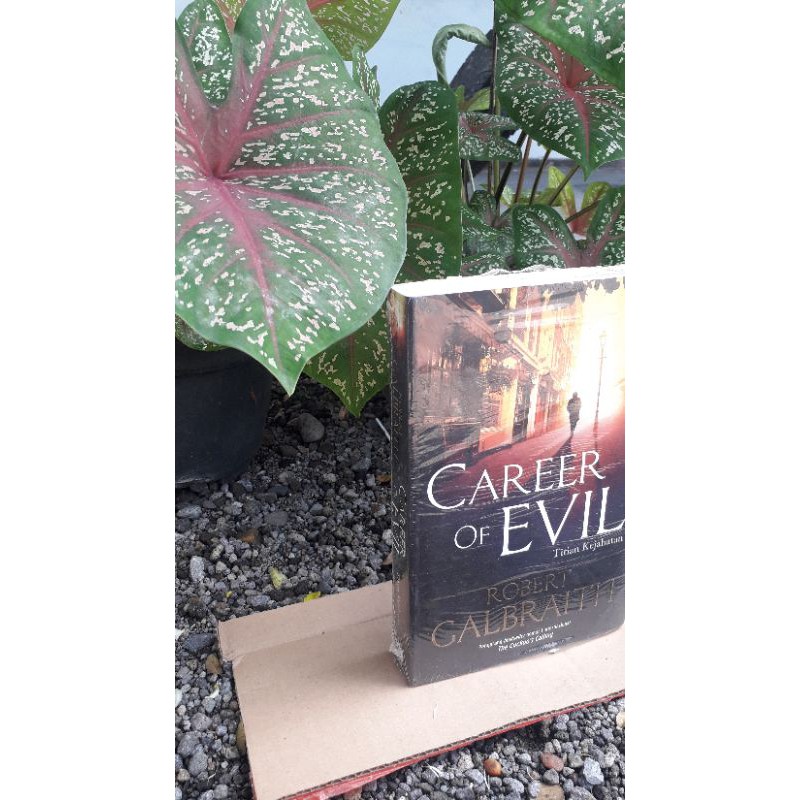 novel robert galbraith (career evil)