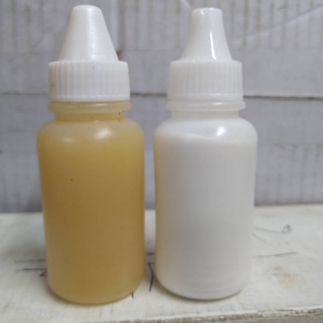 Esen serbuk galatama galapung ikan mas