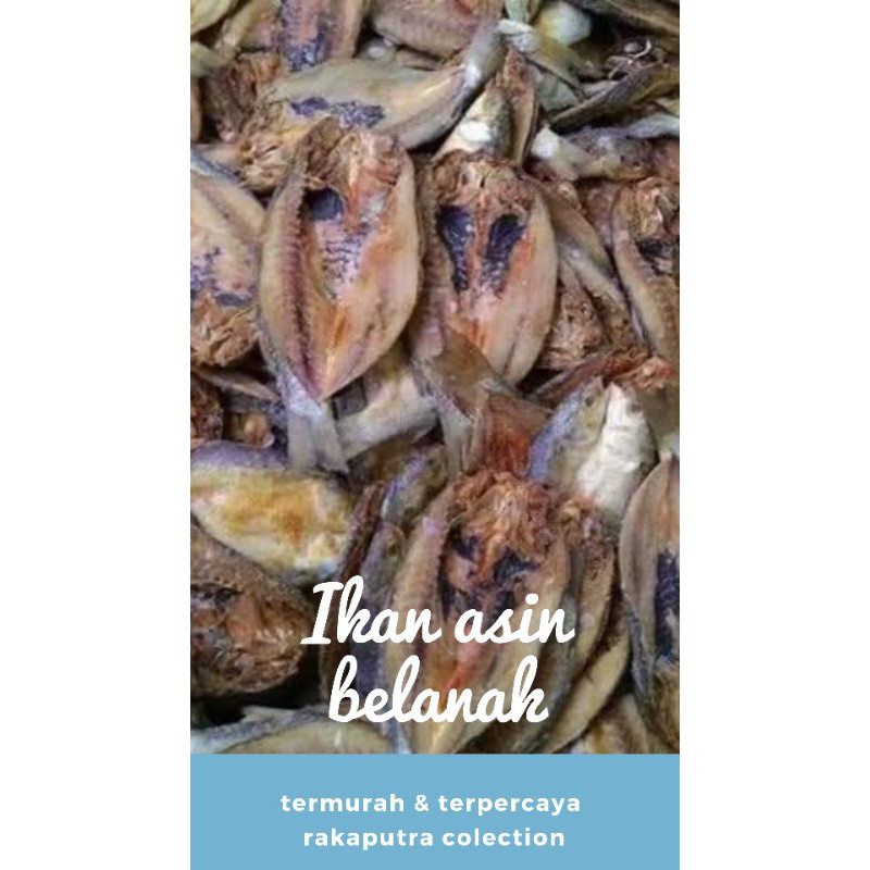 

GROSIR TERMURAH IKAN ASIN BELANAK UKURAN BESAR TANPA PORMALIN KEMASAN EKONOMIS 500GR