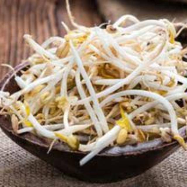 

Sayur Tauge Kecambah segar