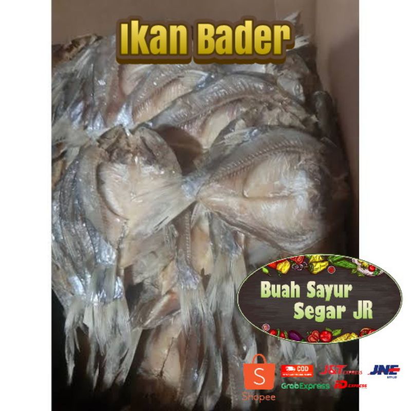 

IKAN BADER 1Pack