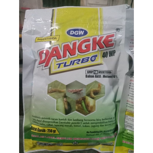 Dangke