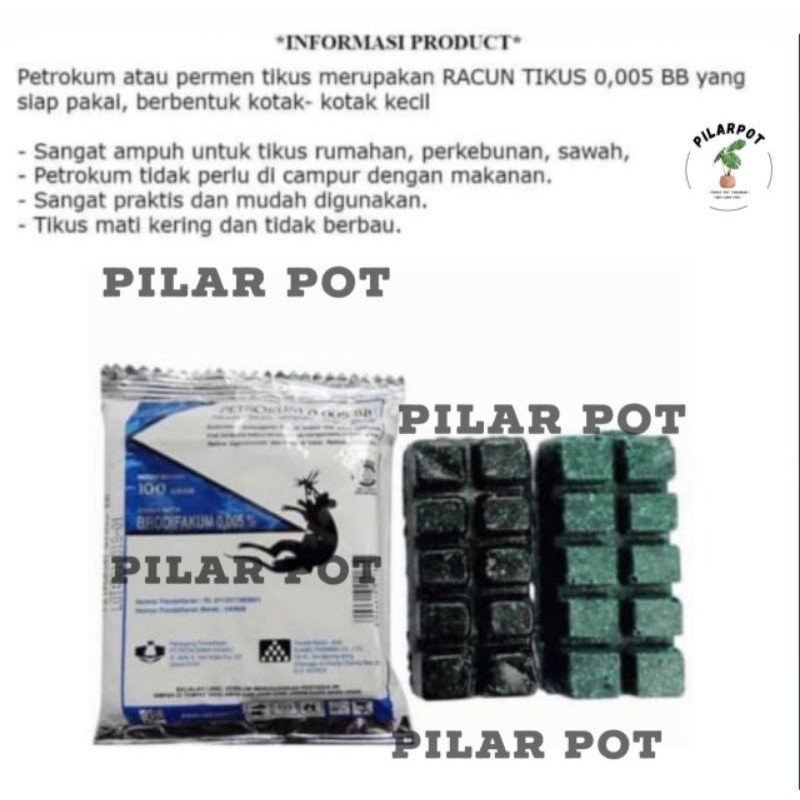 1 BOX Racun tikus PETROKUM - tikus mati kering dan tidak bau - 10 PCS