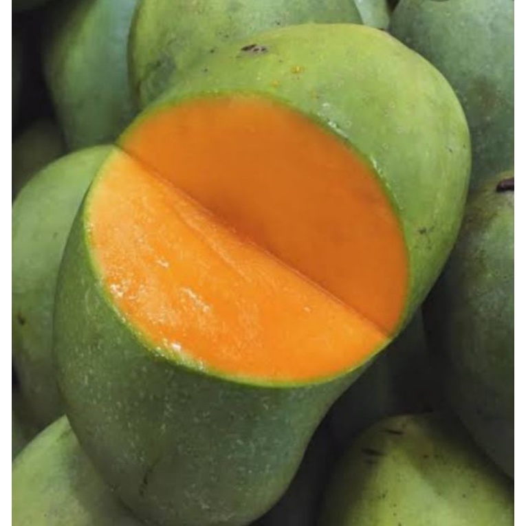 

Mangga Harum Manis (500Gram)