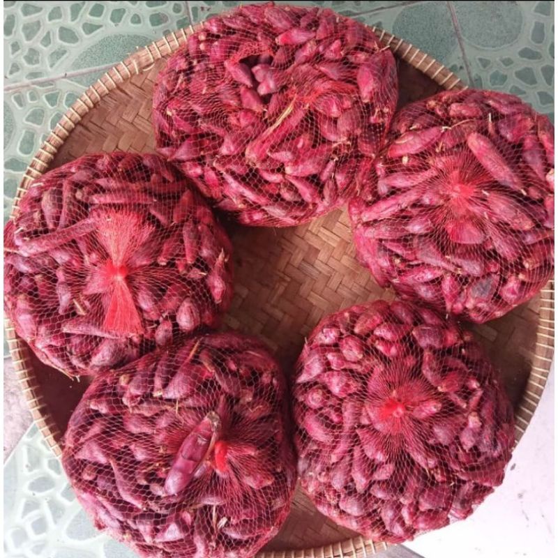 

bawang dayak Kalimantan