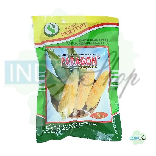Benih Jagung Manis PARAGON HIBRIDA F1 (1750 BUTIR)