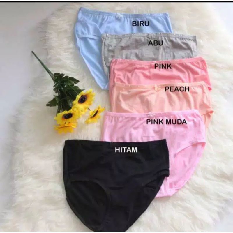 12 PCS/BEEE_91/ Celana Dalam Perempuan Cd Wanita SAYES 2904