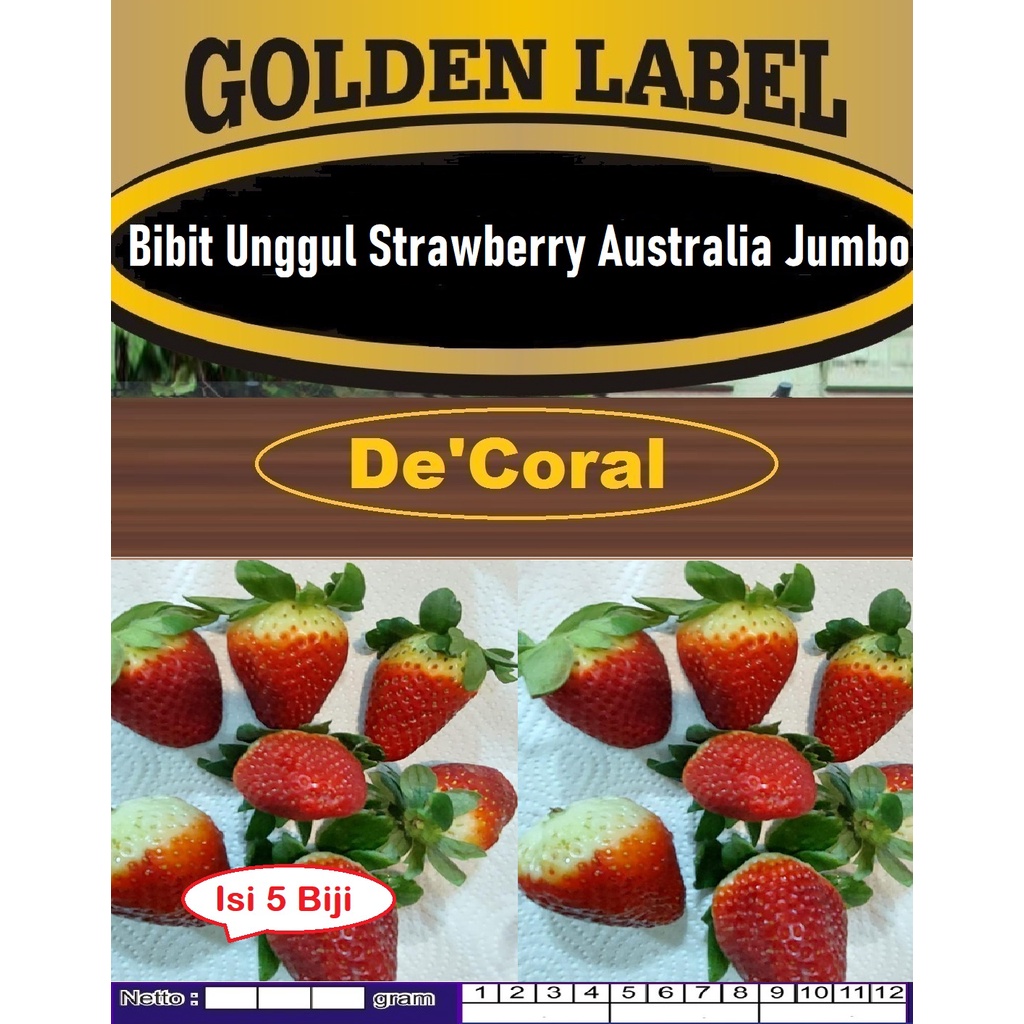 Bibit Strawberry Australia Jumbo |Biji Benih Stroberry Australia Jumbo| Biji Bibit Strobery Australi