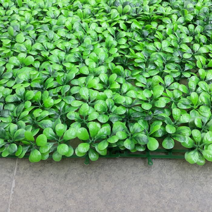 daun sintetis dinding-vertical garden-daun sintetis dolar