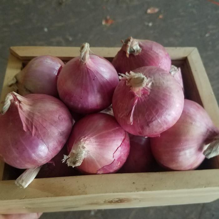 

BAWANG MERAH INDIA FRESH 1KG BERKUALITAS