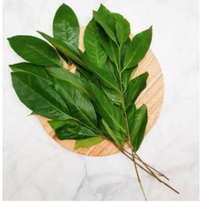 

Daun Salam Hijau Segar 25Gr Pasar Segar Depok