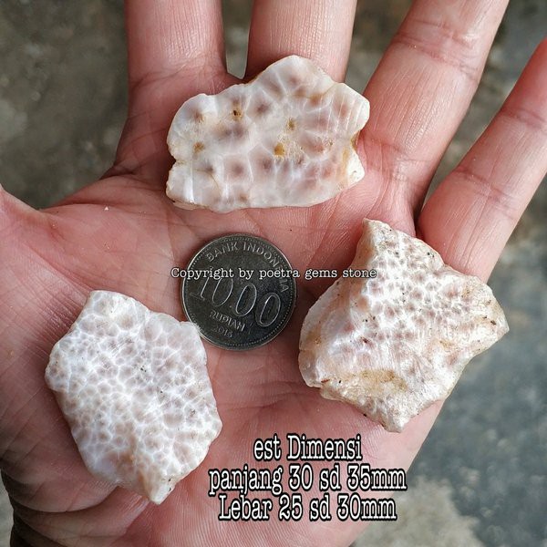 BAHAN BATU NATURAL THOMSONITE HANOMAN BATU TUMPANG NUSAKAMBANGAN KWALITAS BAGUS