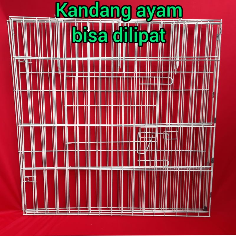 Kandang besi lipat buat ayam bangkok ukuran 80x80x80