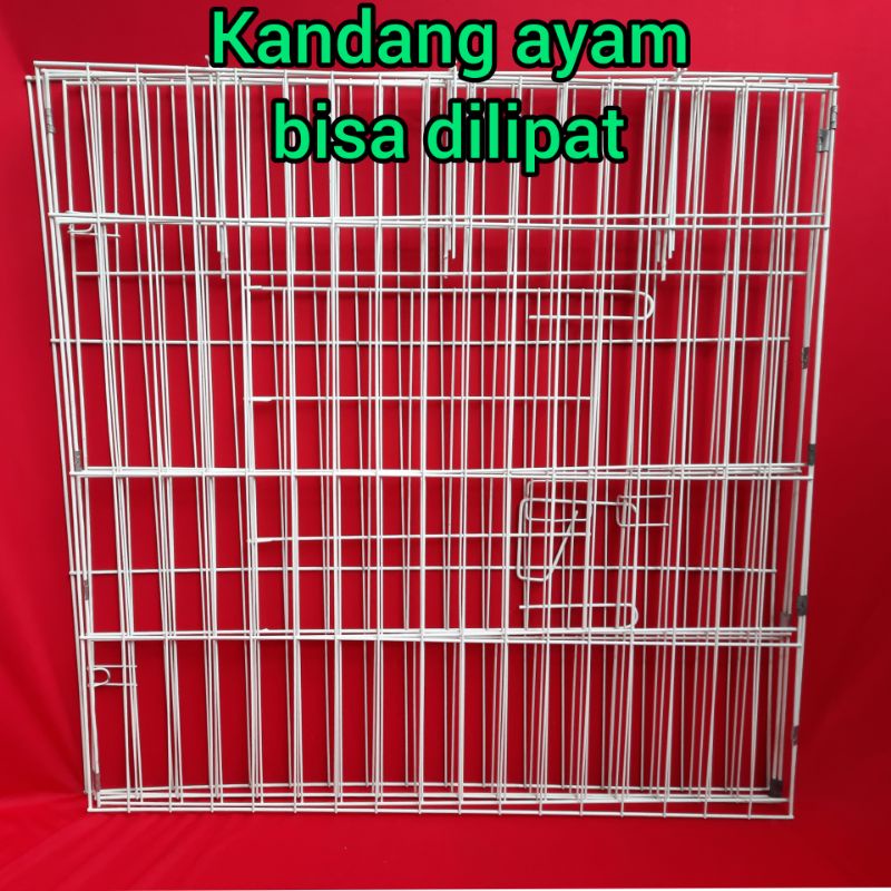 Kandang besi lipat buat ayam bangkok ukuran 80x80x80