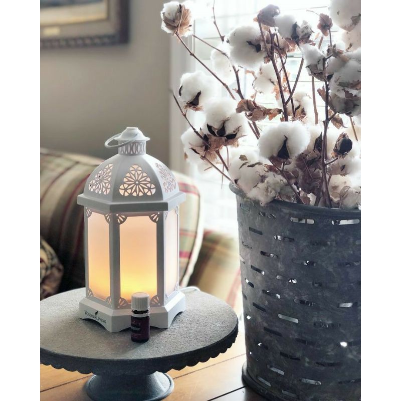lantern diffuser young living