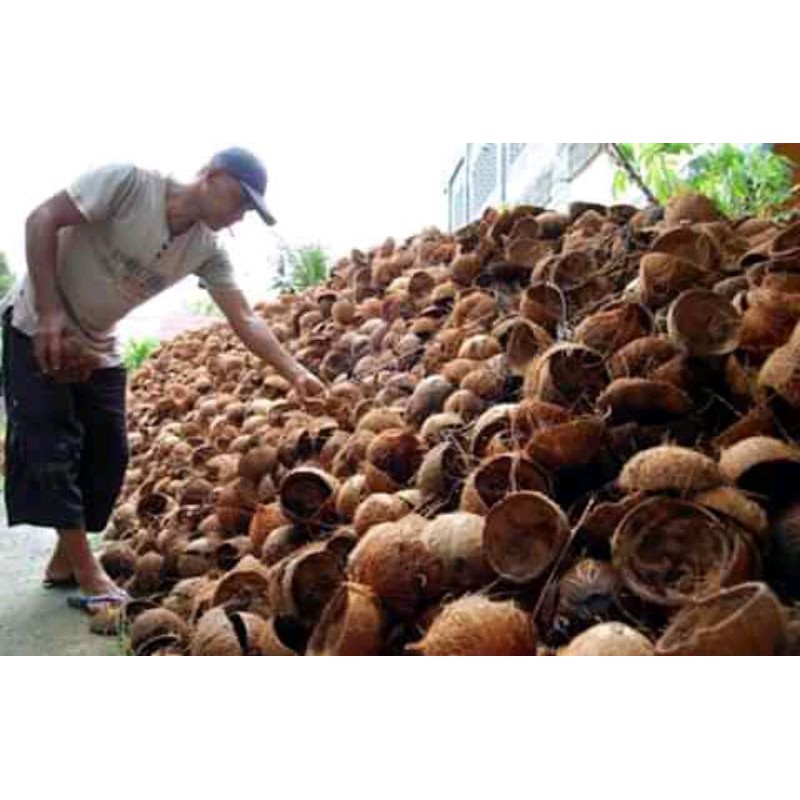 batok kelapa/tempurung.kelapa.kering