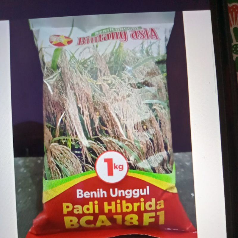 Benih Padi Hibrida BCA 18 F1 1KG