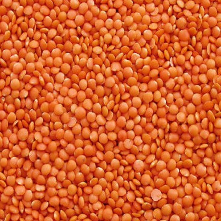 

LAST CHANCE (PHANAMA) Lentil Merah Whole Red Lentils Lentil Orange 50g