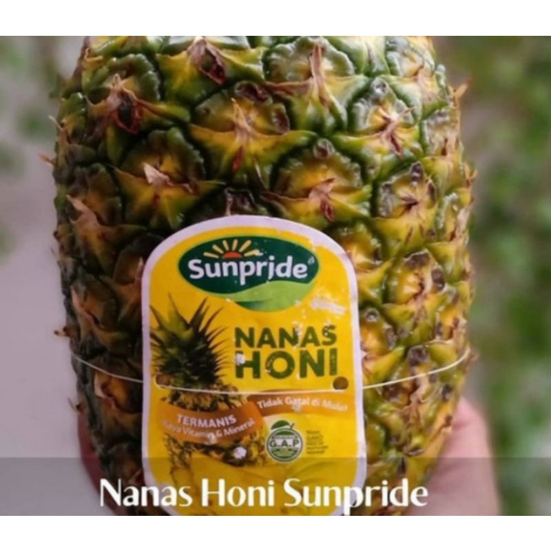 

Nanas Sunpride Mini/kecil (1 buah)