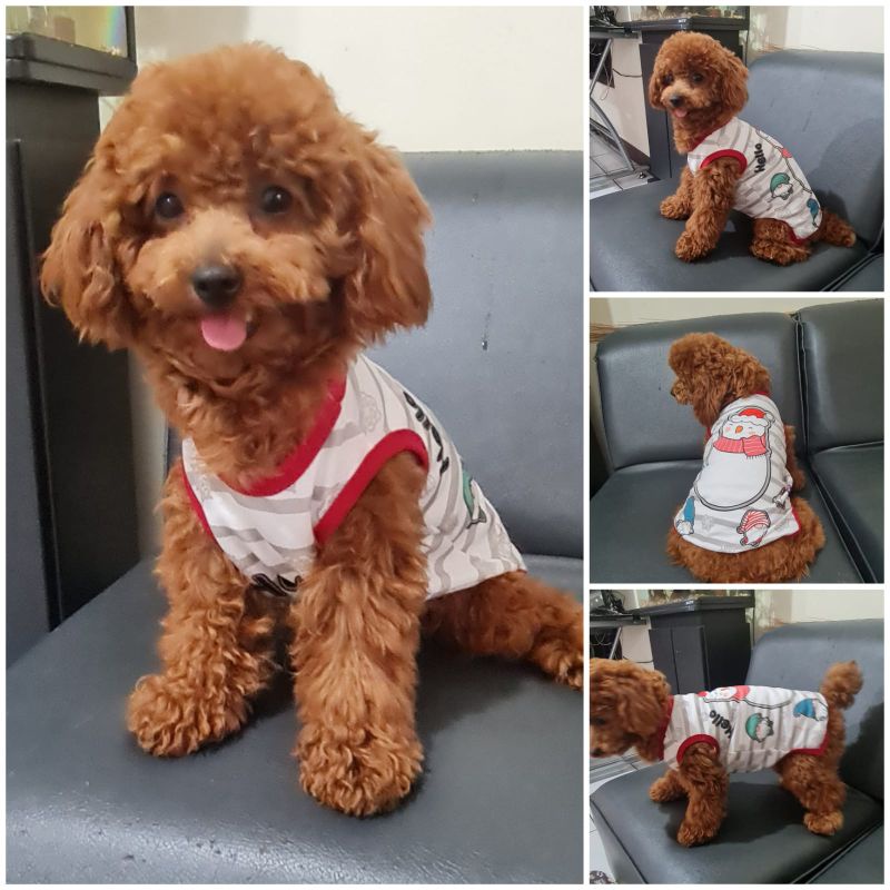 Baju Kaos Doggie Tema Natal Christmas Winter