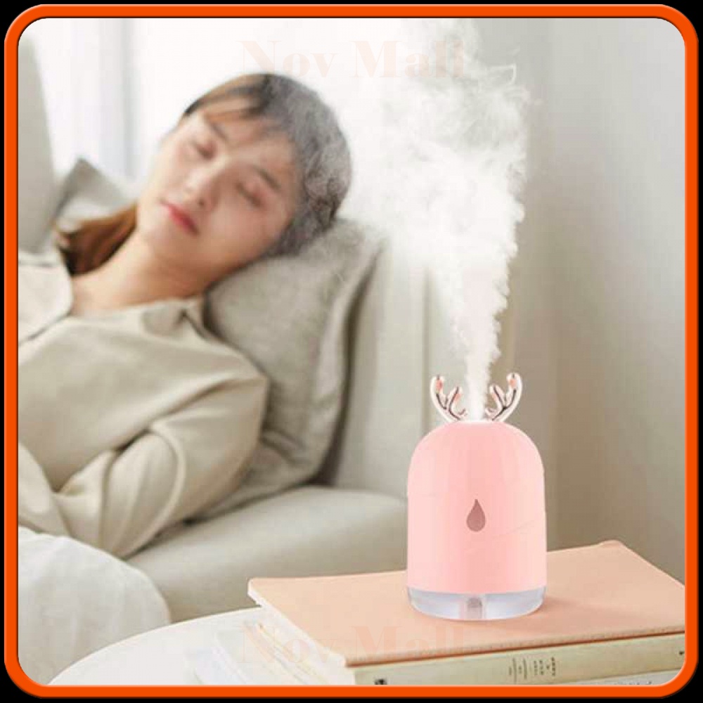 Air Humidifier Aromatherapy Diffuser Cute Design 220ml AM578