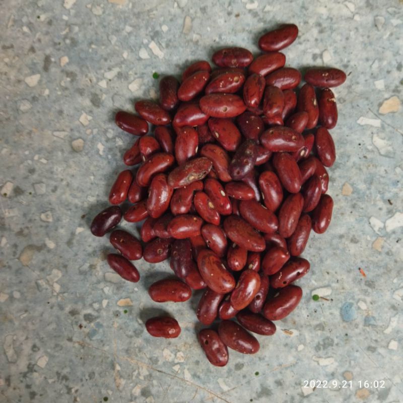 

Kacang Merah 250 gram