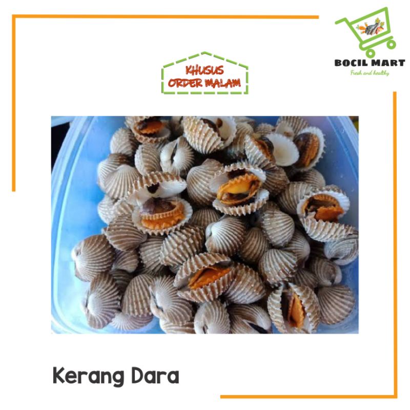 

KERANG DARA 1 KILOGRAM BOCIL MART