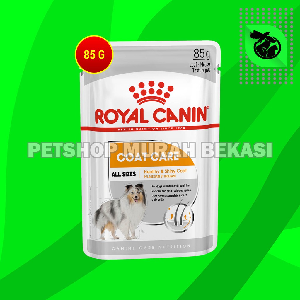Royal Canin Dog Coat Care Pouch Wet Food Makanan basah Anjing Bulu 80G