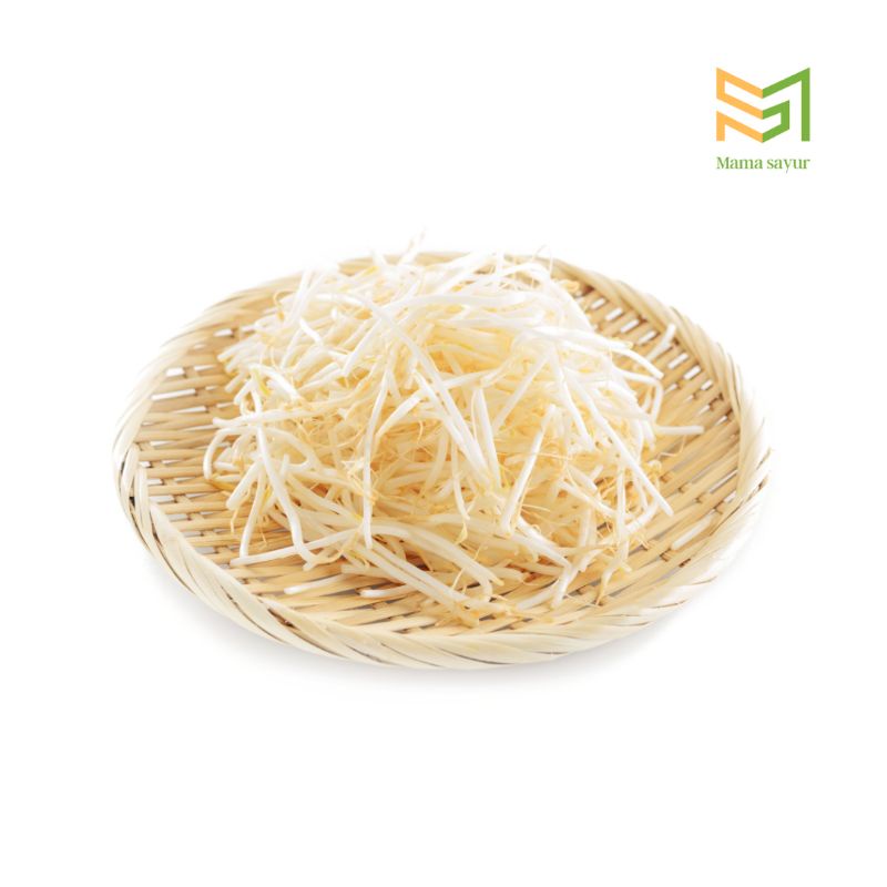 

Tauge segar per pack