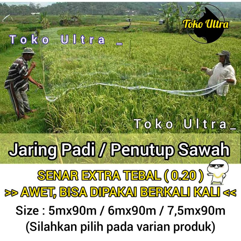 JARING BURUNG SAWAH SENAR BESAR / TEBAL 020 / JARING PADI / JARING PIPIT / JARING EMPRIT / JARING PENUTUP PADI / JARING BURUNG COD / JARING HAMA BURUNG / JARING PETANI