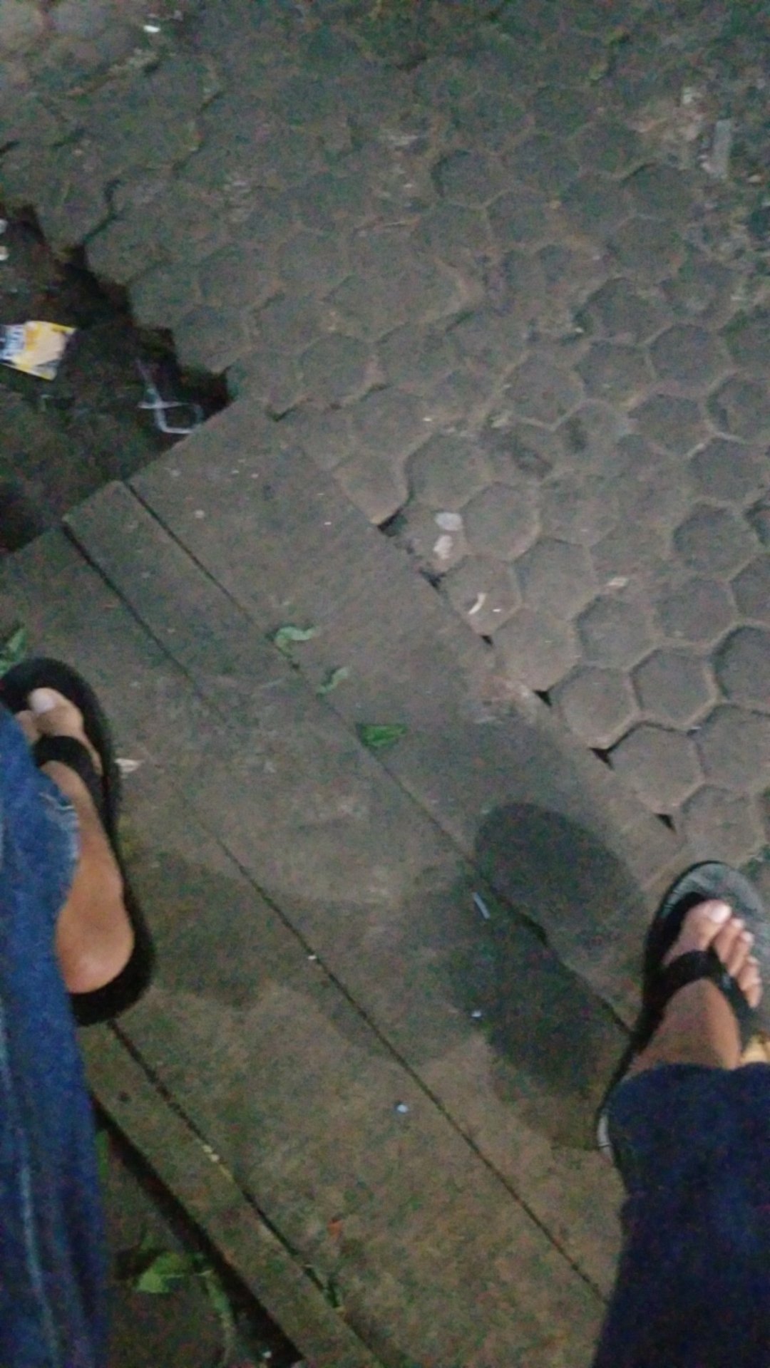 Fungisida Biologis Organik Trico-g 500gram Obat Layu Bakteri Fusarium