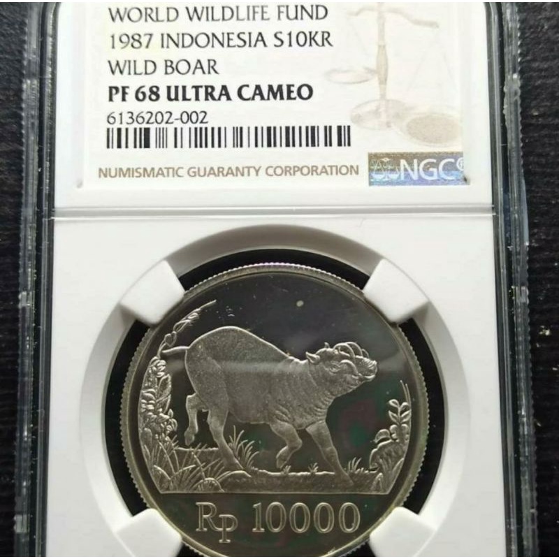 Koin kuno 10000 Rupiah Babi Rusa tahun 1987 NGC PF 68