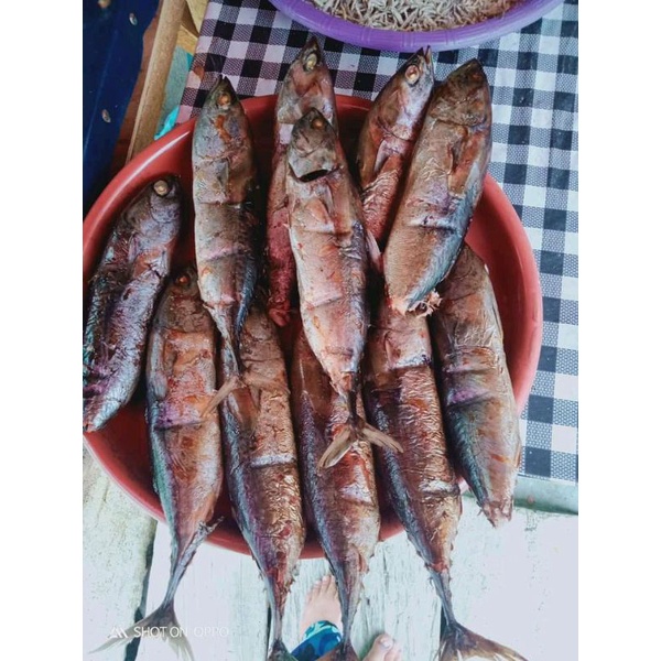 

CakangFufu
