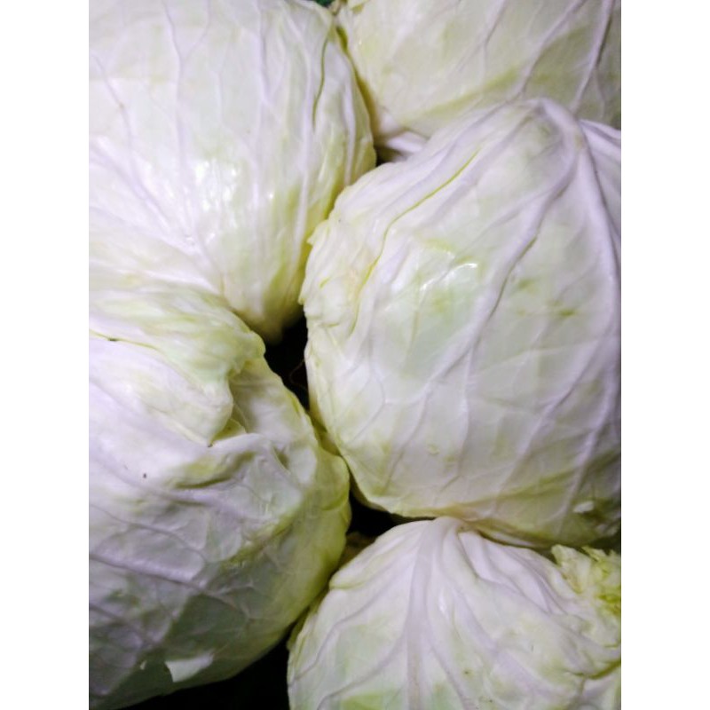 

Kol per 250gr
