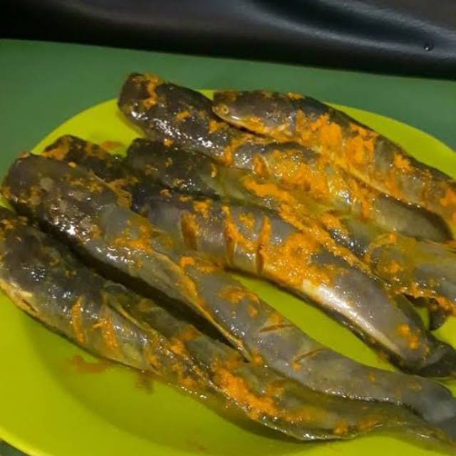 

frozen ikan lele bumbu kuning tanpa kepala isi 4