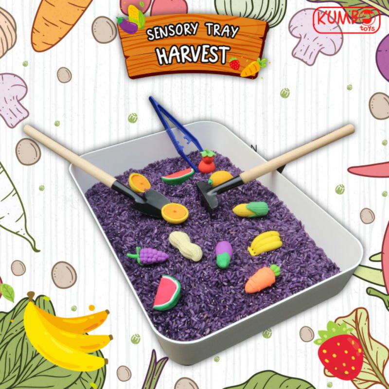 Sensory Tray Sensory Play Mainan Montessori Cocok Untuk Hampers Hadiah Kado