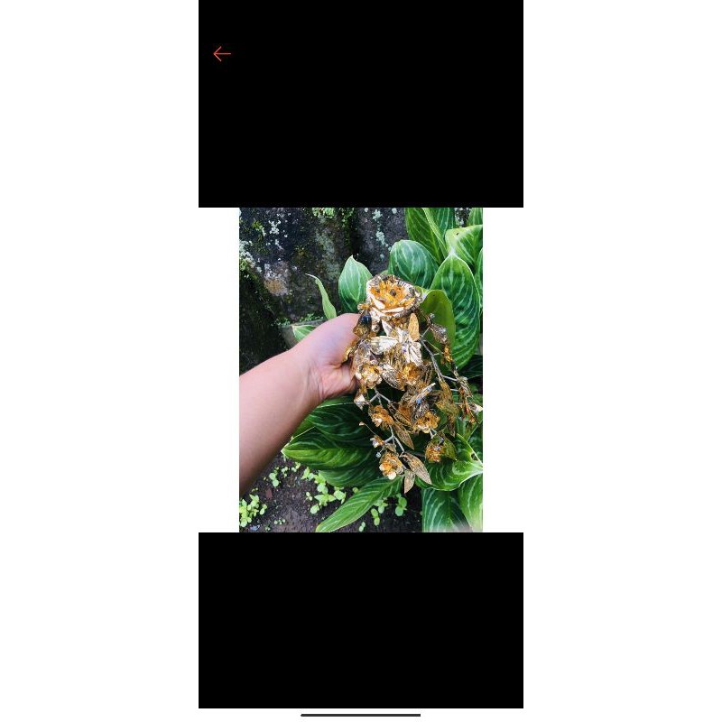 bunga mas bali