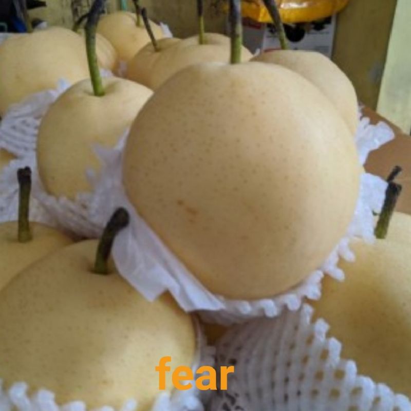 

PEAR CENTURY