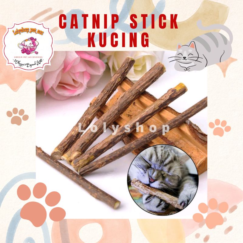 CATNIP STICK KUCING SNACK KUCING NATURAL MATABI