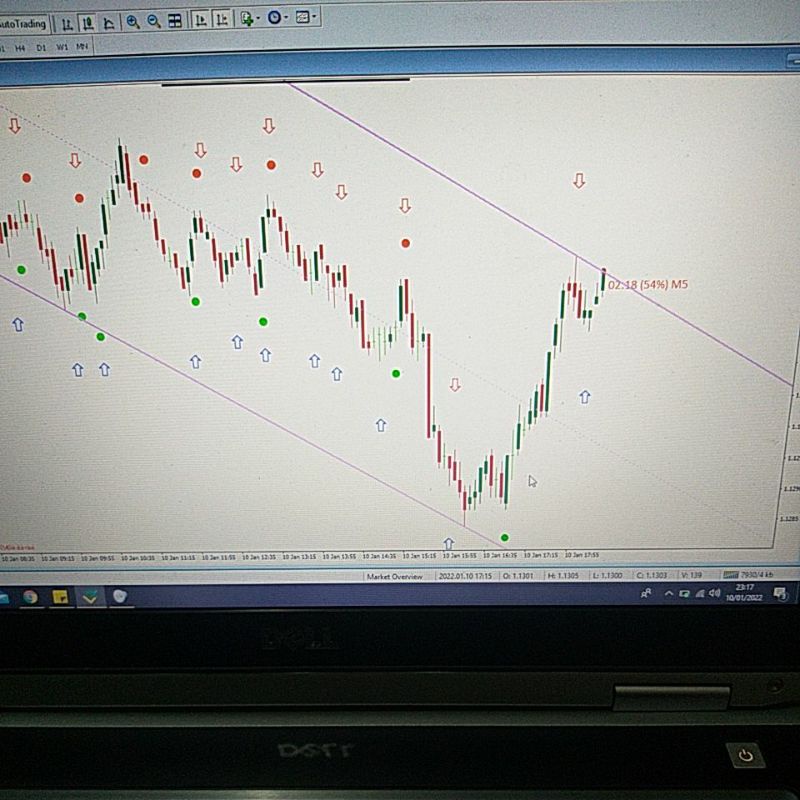 INDIKATOR FOREX SPIDER STRATEGI B OPTION