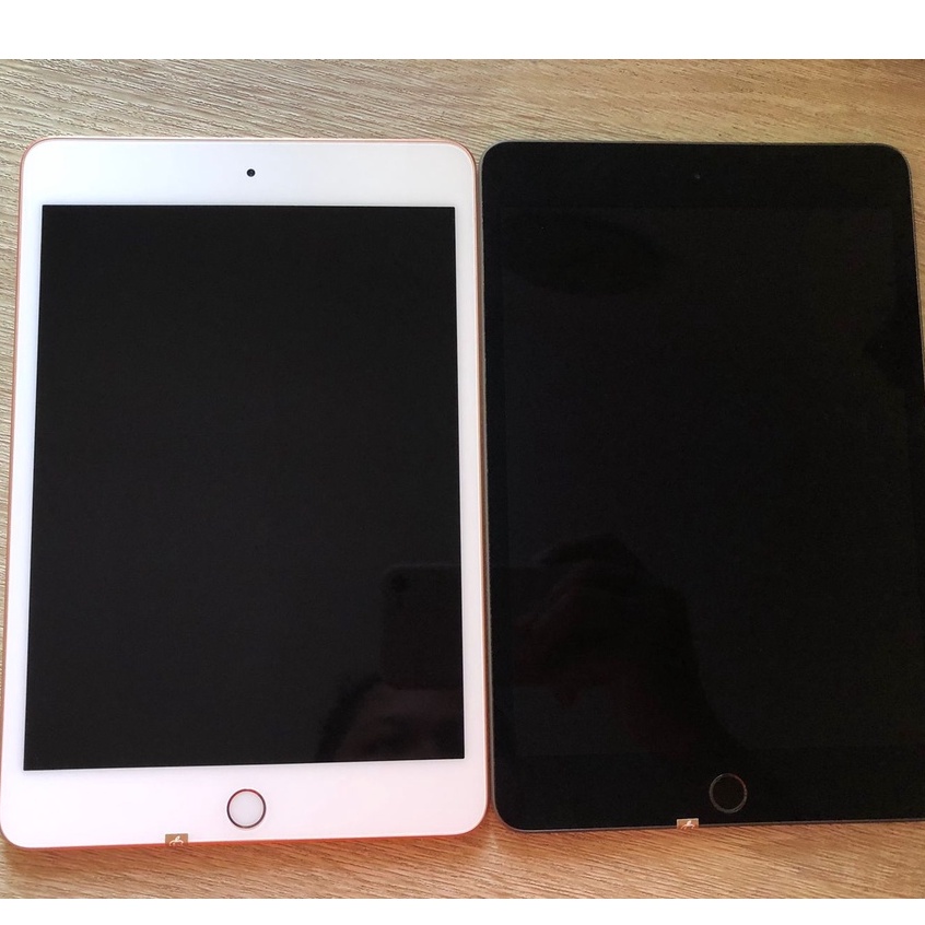 iPad Mini 5 Wi-fi Only 64GB Mulus - Second