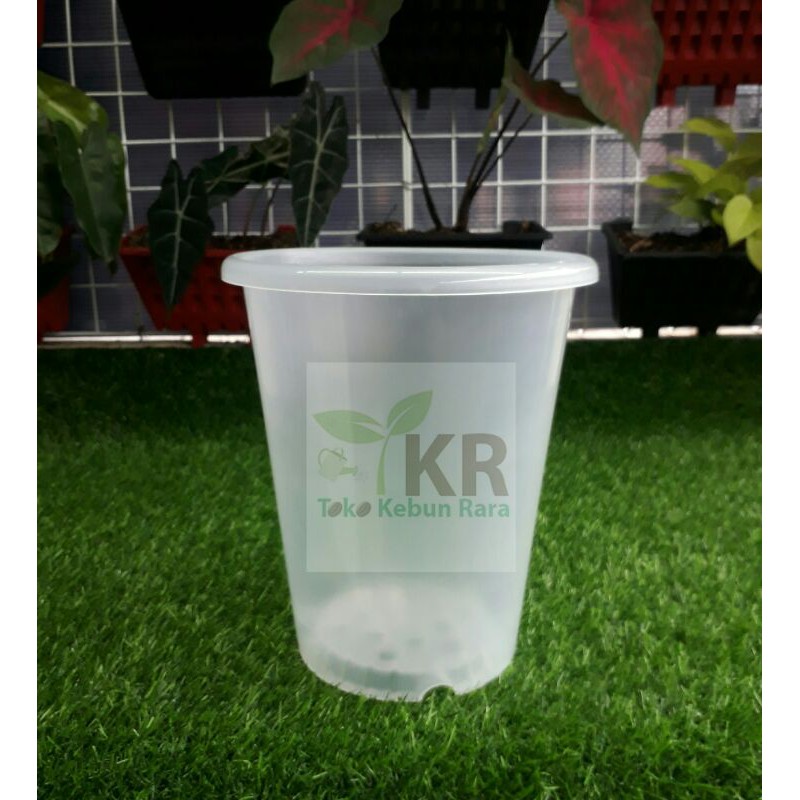 Pot NKT Tower 21 Bening Transparan Lusinan