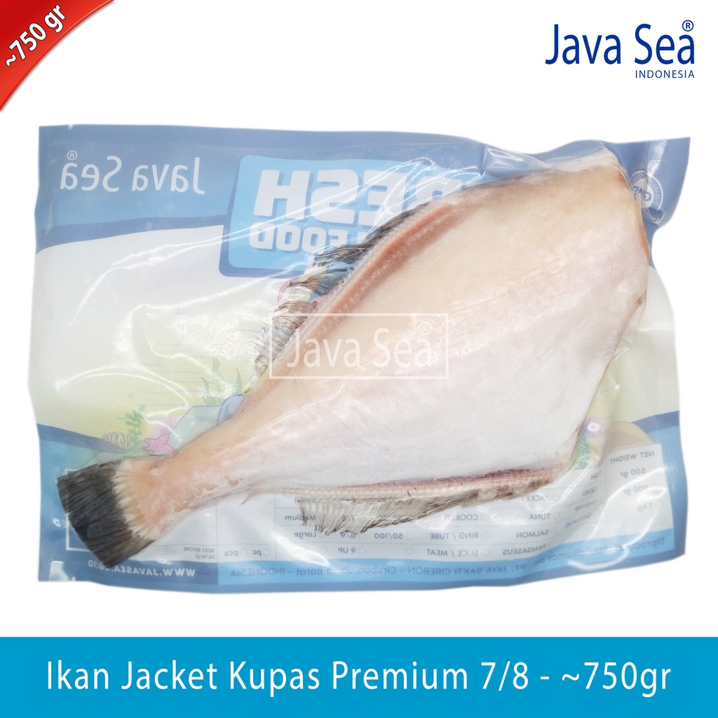 

Ikan Jacket/Jaket Kambing 7/8 pack 700-800gr Java Sea