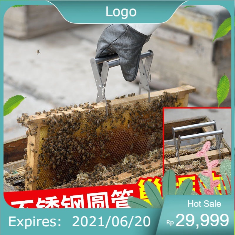 Capit Pencapit Capitan Frame Sarang Lebah Panen Madu Kotak Tawon Stup Alat Ternak Lebah Model Jepit 