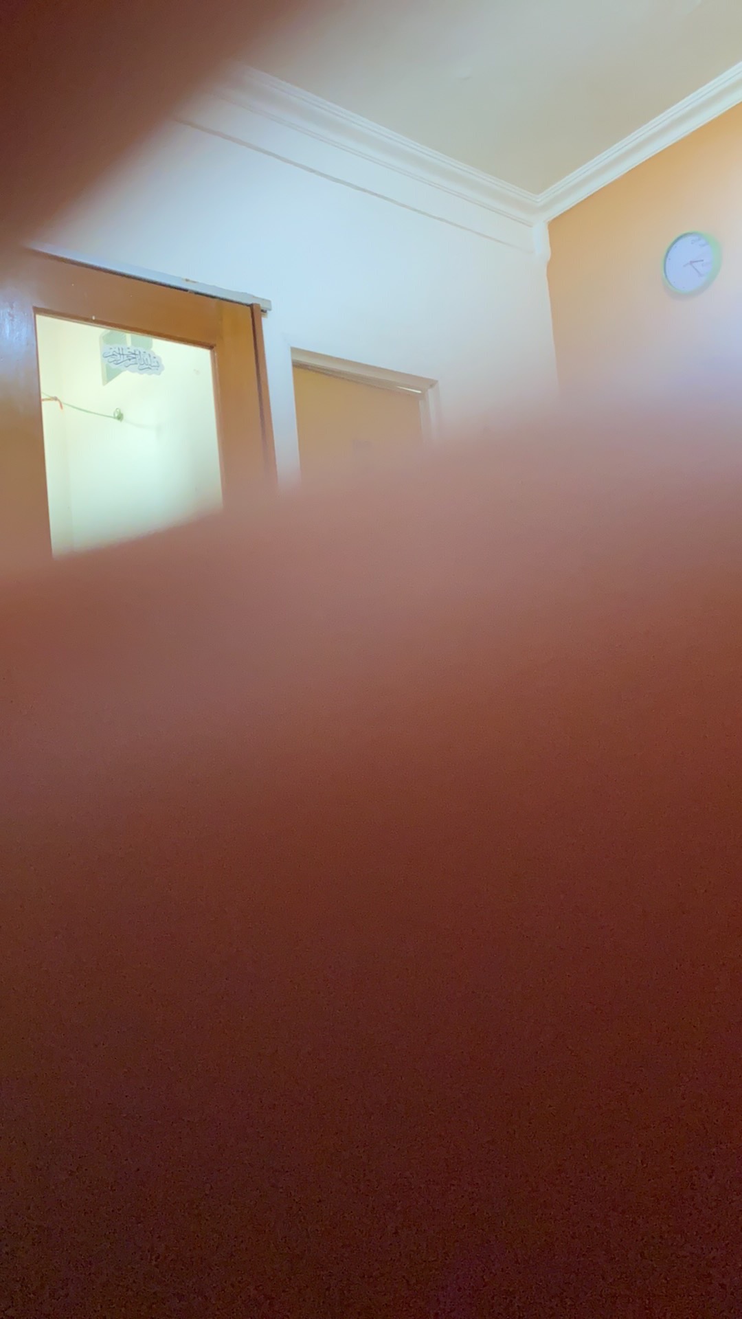 Akako Lemari Pakaian Plastik 2 Pintu Rak/gantung Kaca Kunci Elegant