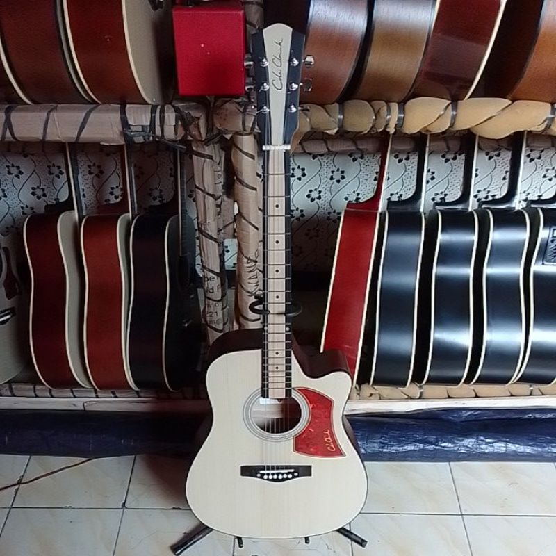 GITAR COLE CLARK