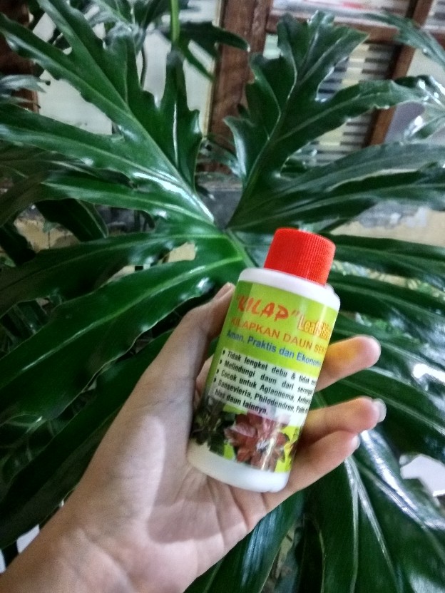 Pengkilap Daun Kilap - Leaf Shine - Kilap Daun
