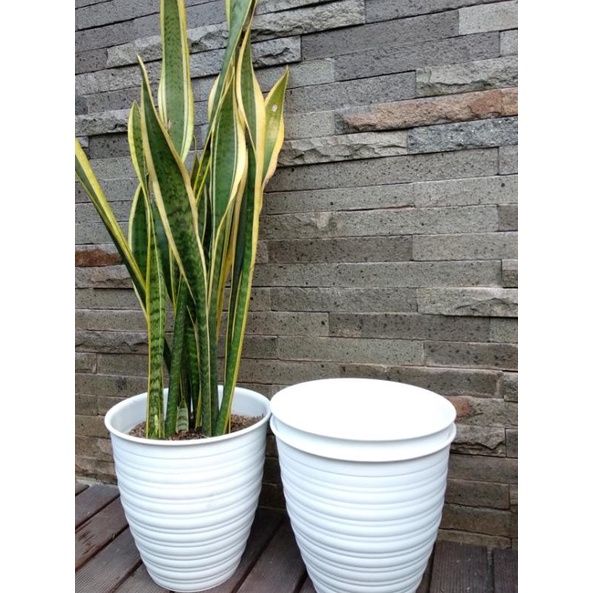 ✪ Pot Tawon Putih Pirus 35 cm / Pot Tawon Pirus 35 ۞