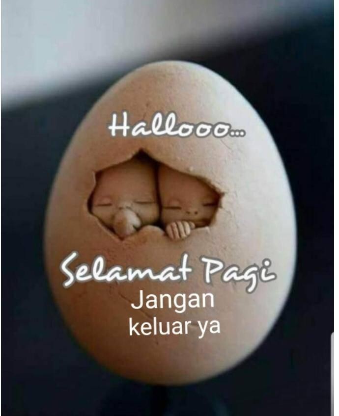 Pop Socket Hp Karakter Lucu Kartun Character Funny Cartoon Popsocket Hape Air Bag Cell Phone Bracket