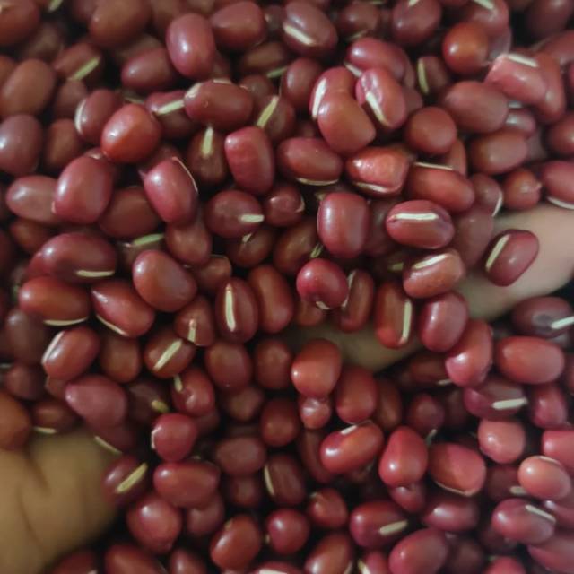 KACANG MERAH ADZUKI - 1kg